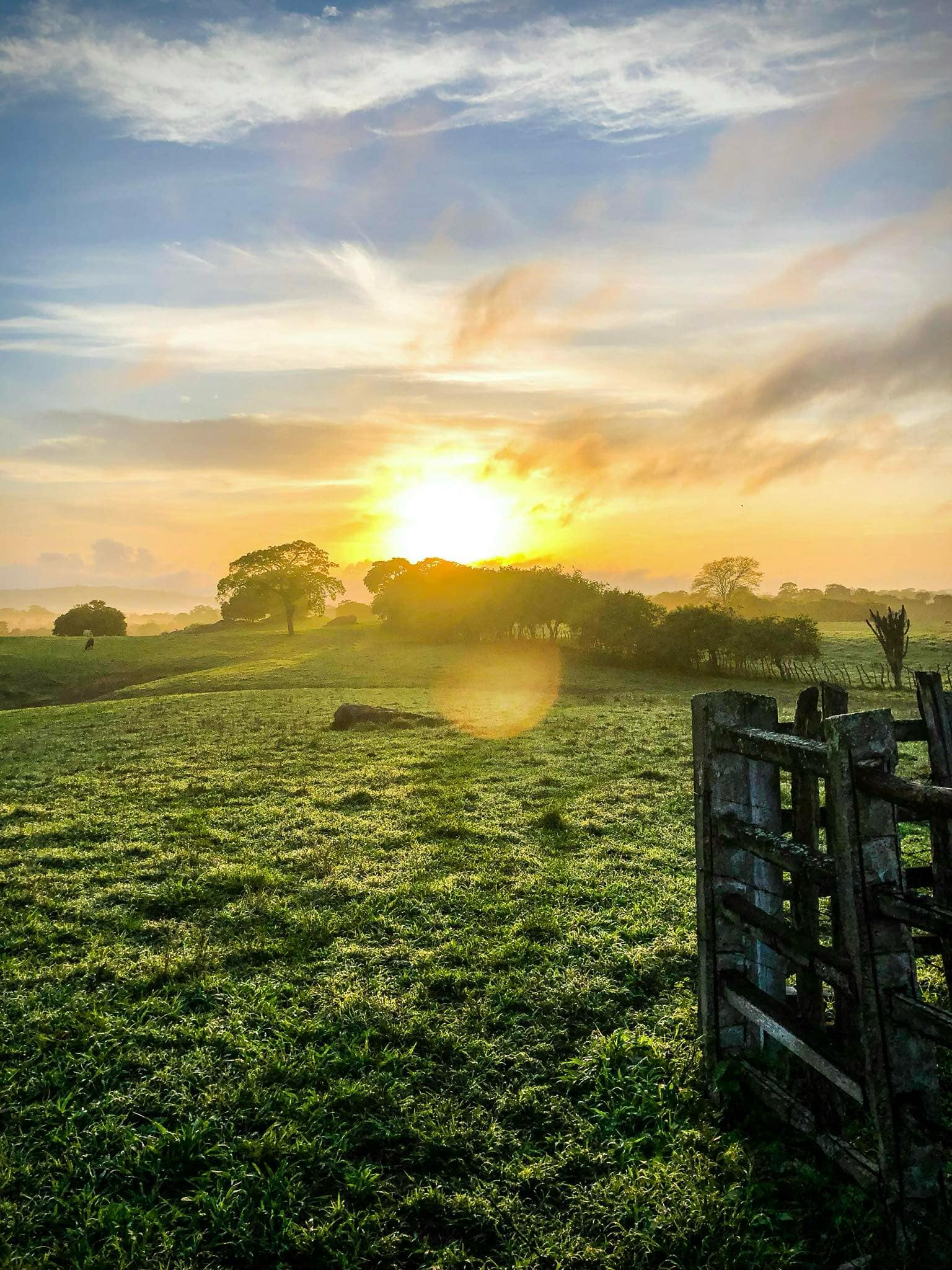 nature
